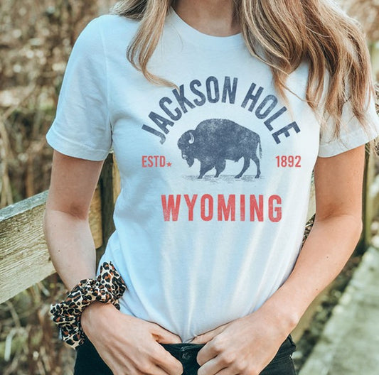 JACKSON HOLE WYOMING GRAPHIC TOP